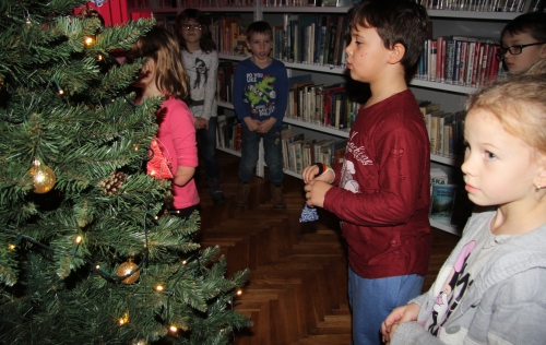 Photo 495